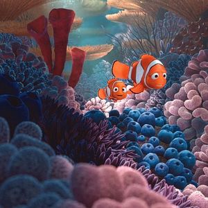 Bilder Findet Nemo