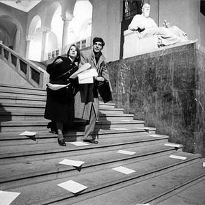 Bilder Die weiße Rose