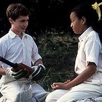 Bilder Davids wundersame Welt