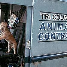 Bilder In tierischer Mission