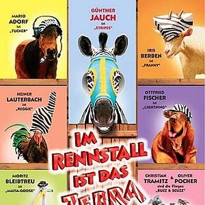 Bilder Im Rennstall ist das Zebra los!