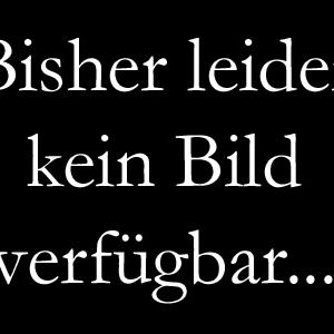 Bilder Elefantenherz