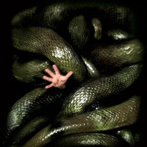 Bilder Anacondas – Die Jagd nach der Blut-Orchidee