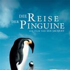 Bilder Die Reise der Pinguine