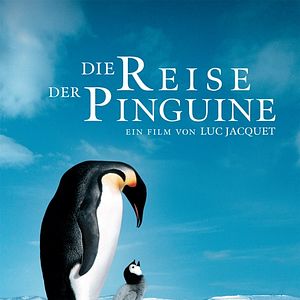 Bilder Die Reise der Pinguine