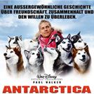 Bilder Antarctica - Gefangen im Eis