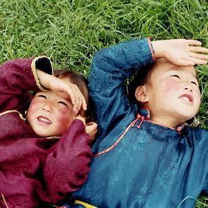 Bilder Die Höhle des gelben Hundes