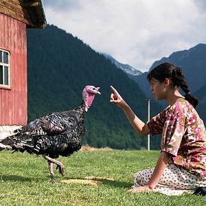 Bilder Lost and Found