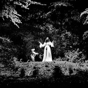 Bilder Der die Tollkirsche ausgräbt