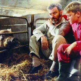 Bilder Weiter als der Mond