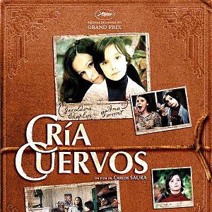 Bilder Züchte Raben...