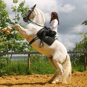 Bilder Mathilde Seigner