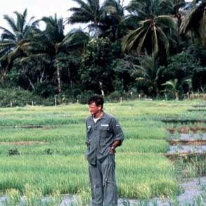 Bilder Robin Williams