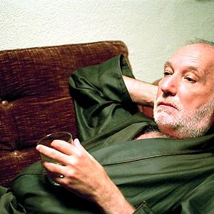 Bilder Die zweigeteilte Frau