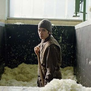 Bilder Angelina Maccarone