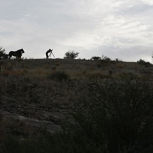 Bilder There Will Be Blood