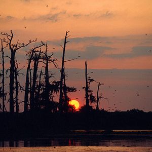 Bilder Greg MacGillivray