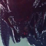 Bilder Colin Strause