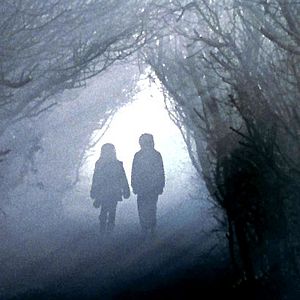 Bilder Sandrine Veysset