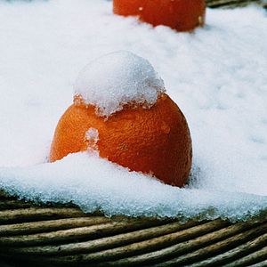 Bilder Jean-Paul Fargier