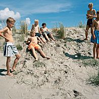 Bilder Die Farbe der Milch