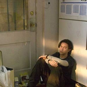 Bilder Joseph Gordon-Levitt