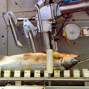 Bilder Unser täglich Brot