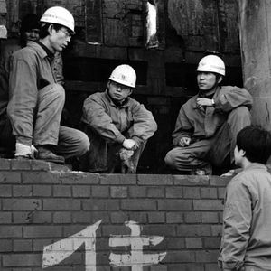 Bilder Losers and Winners