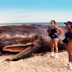 Bilder Robert Ben Garant