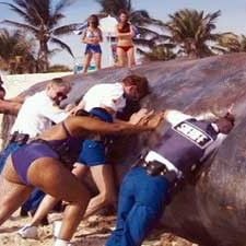 Bilder Robert Ben Garant