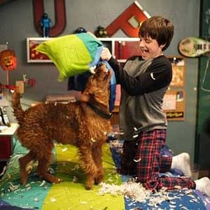 Bilder Josh Hutcherson