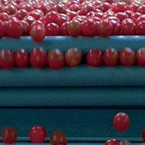 Bilder Erwin Wagenhofer