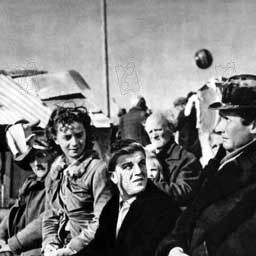 Bilder Francesco Golisano