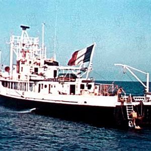 Bilder Schweigende Welt