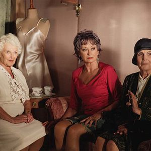 Bilder Die Herbstzeitlosen