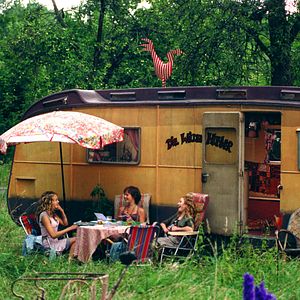 Bilder Die wilden Hühner und die Liebe