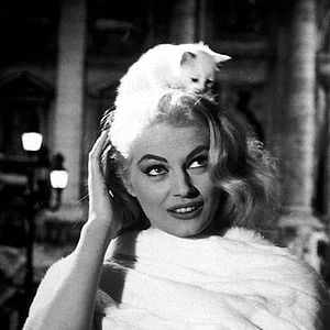 Bilder La Dolce Vita - Das süße Leben