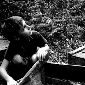 Bilder Henry Colomer