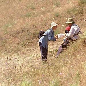 Bilder Jaime Rosales