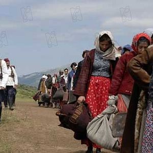 Bilder Vittorio Taviani