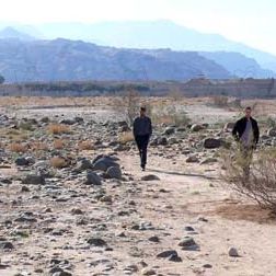 Bilder Danielle Arbid