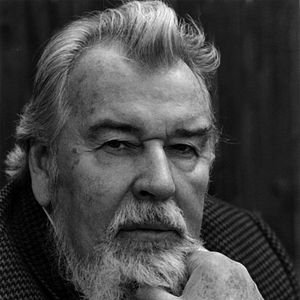 Bilder Verstörung - und eine Art von Poesie