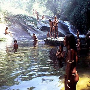 Bilder Der Smaragdwald