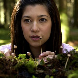 Bilder Paddy Breathnach