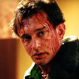 Bilder Wächter des Tages