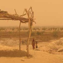 Bilder Dreams of Dust