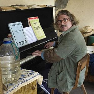 Bilder Das Moskitoproblem und andere Geschichten