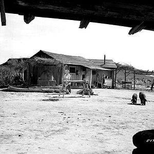 Bilder Man nennt mich Hondo