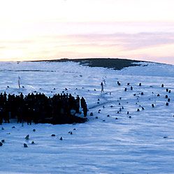 Bilder Bahman Ghobadi