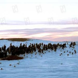 Bilder Bahman Ghobadi